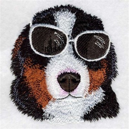 Bernese in Sunglasses Machine Embroidery Design