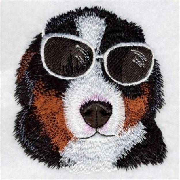 Picture of Bernese in Sunglasses Machine Embroidery Design