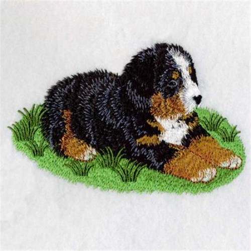 Bernese Puppy Machine Embroidery Design