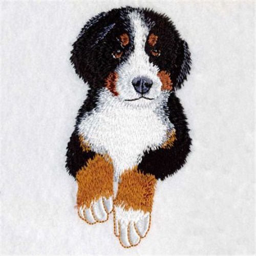Bernese Puppy Machine Embroidery Design