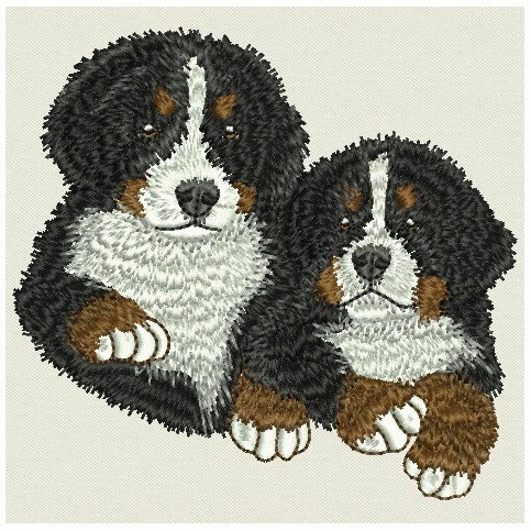 Bernese Puppies Machine Embroidery Design
