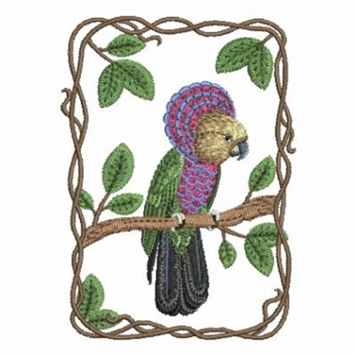 Hawk Headed Parrot Machine Embroidery Design