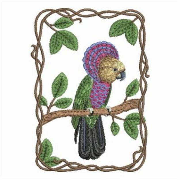 Picture of Hawk Headed Parrot Machine Embroidery Design