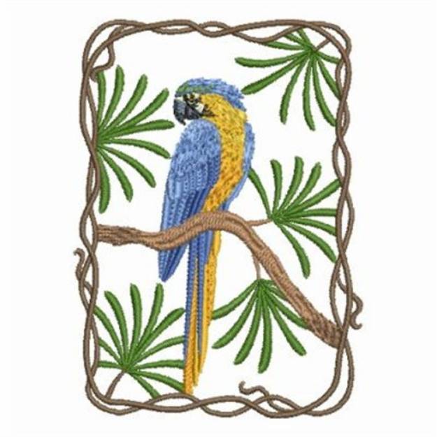 Picture of Blue & Gold Macaw Machine Embroidery Design