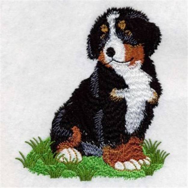 Picture of Bernese Mountain Dog Machine Embroidery Design