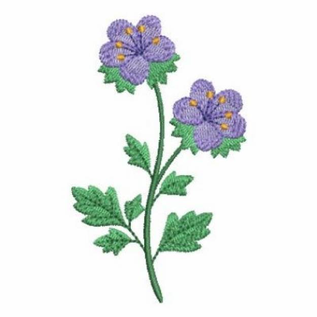 Picture of Mountain Phacelia Machine Embroidery Design