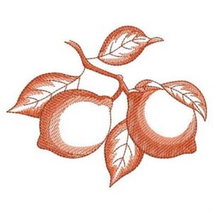Picture of Sketched Peaches Machine Embroidery Design