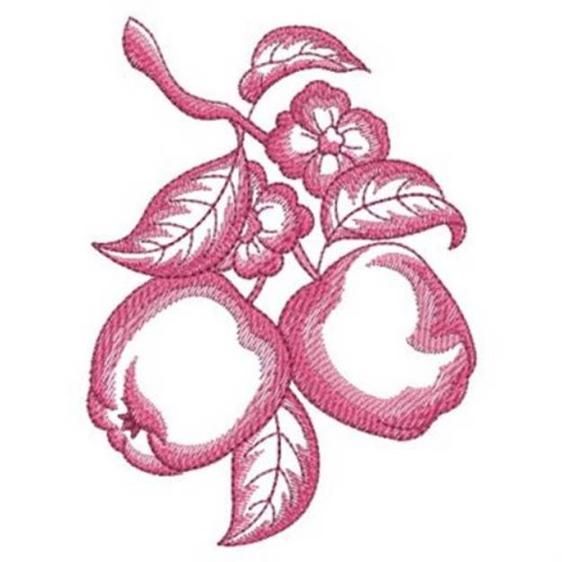 Picture of Sketched Apples Machine Embroidery Design