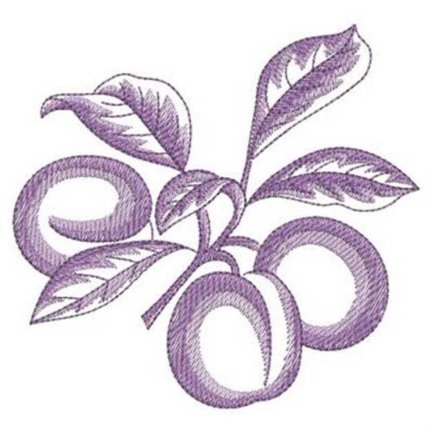 Picture of Sketched Plums Machine Embroidery Design