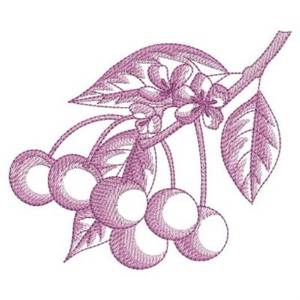 Picture of Sketched Cherries Machine Embroidery Design