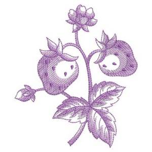 Picture of Sketched Strawberries Machine Embroidery Design