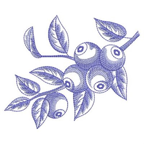 Sketched Blueberries Machine Embroidery Design