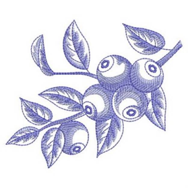 Picture of Sketched Blueberries Machine Embroidery Design