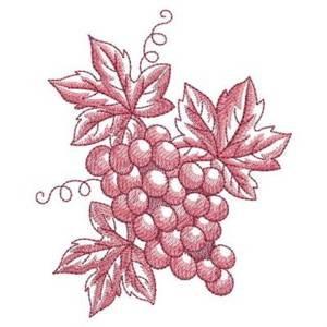 Picture of Sketched Grapes Machine Embroidery Design