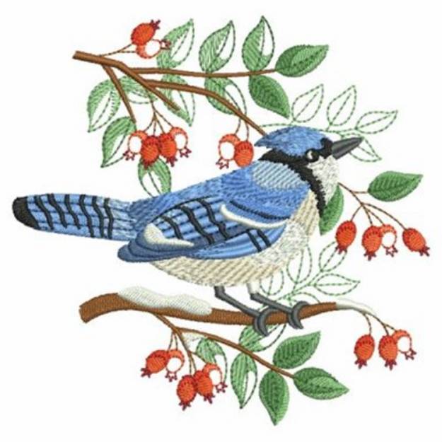 Picture of Christmas Blue Jay Machine Embroidery Design