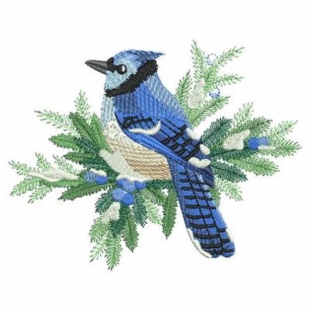 Picture of Christmas Blue Jay Machine Embroidery Design
