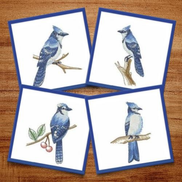 Picture of Watercolor Blue Jay Embroidery Design Pack