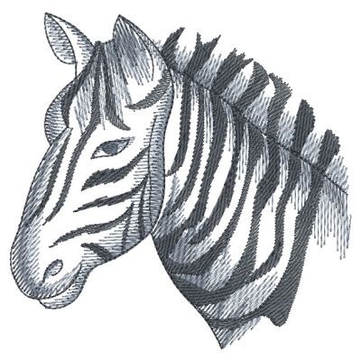 Sketched African Zebra Machine Embroidery Design