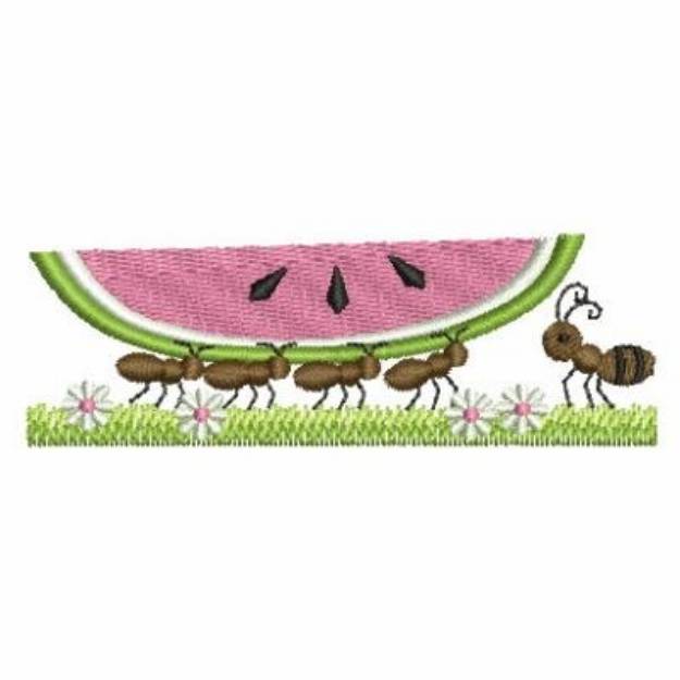 Picture of Ants Holding Watermelon Machine Embroidery Design