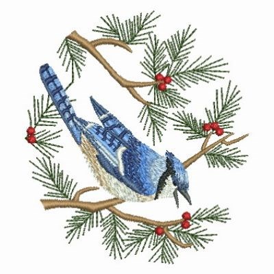 Blue Jay On Branch Machine Embroidery Design