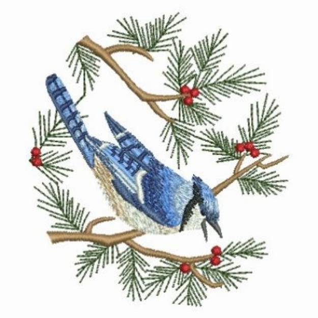 Picture of Blue Jay On Branch Machine Embroidery Design