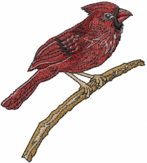 Picture of Cardinal