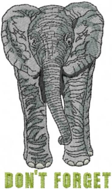 Picture of Elephant