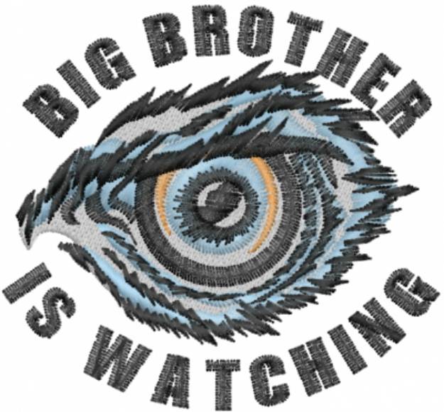 Picture of Big Brother