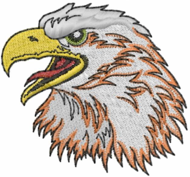 Picture of Eagle Head