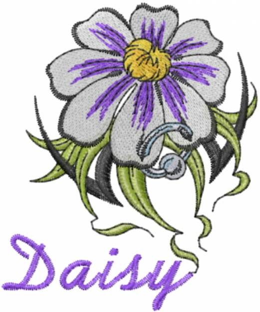 Picture of Daisy