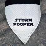 Picture of Baby Storm Pooper Machine Embroidery Design