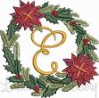 Picture of Christmas Wreath_E
