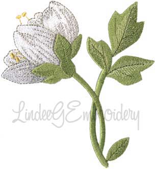 Hawthorn Filled - Single Machine Embroidery Design