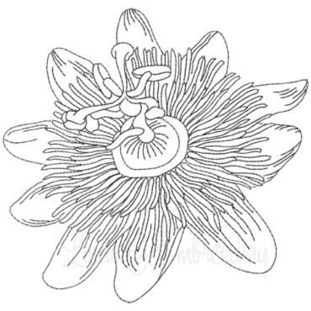 Picture of Passion Fruit Flower Machine Embroidery Design