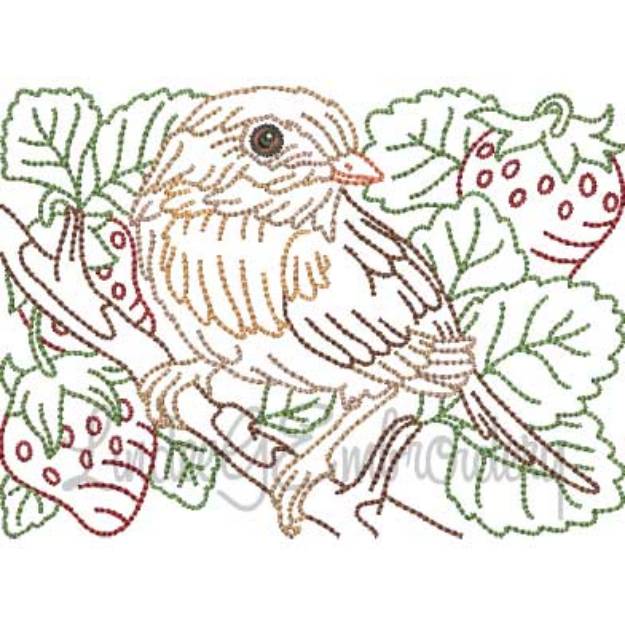 Picture of Bird with Plums Multicolor (5 sizes) Machine Embroidery Design