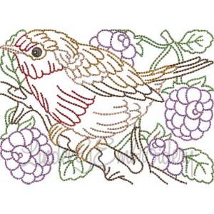Picture of Bird with Raspberries Multicolor (5 sizes) Machine Embroidery Design