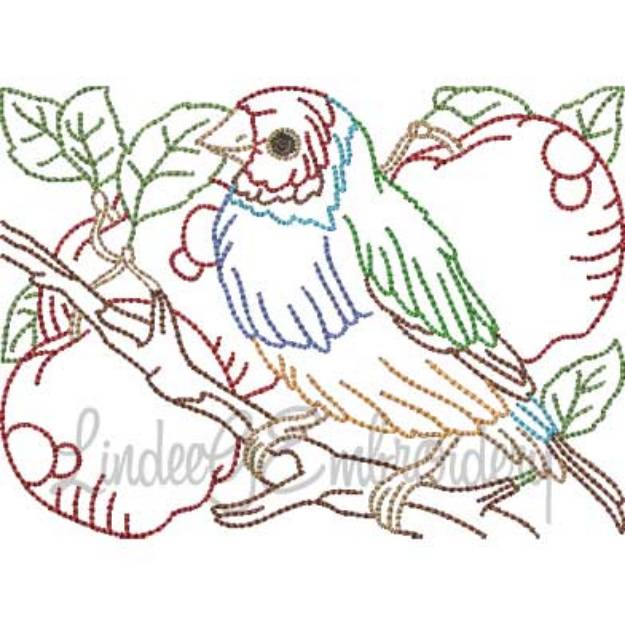 Picture of Bird with Apples Multicolor (5 sizes) Machine Embroidery Design