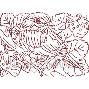 Picture of Bird with Strawberries Redwork (5 sizes) Machine Embroidery Design