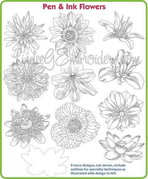Picture of Pen & Ink Flowers Embroidery Design Pack
