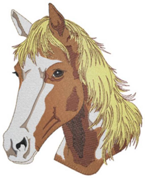Picture of American Paint Machine Embroidery Design