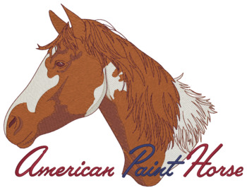 American Paint Horse Machine Embroidery Design