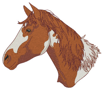 Sm American Paint Horse Machine Embroidery Design
