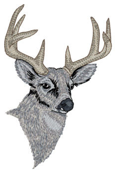 Whitetail Deer Lc Machine Embroidery Design