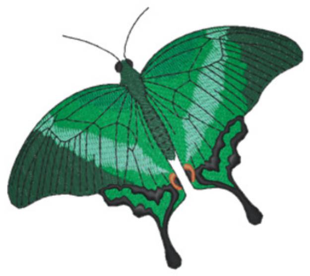 Picture of Sm Emerald Swallowtail Machine Embroidery Design