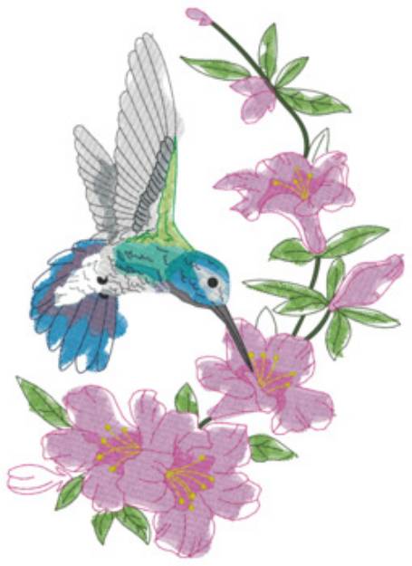 Picture of Hummingbird Light Stitch Machine Embroidery Design