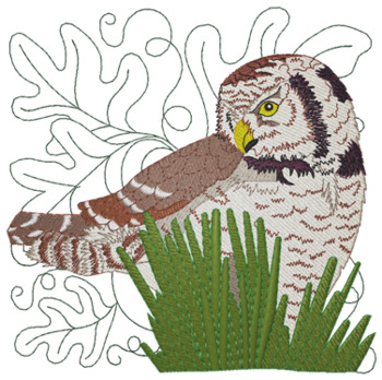 Northern Hawk Owl Machine Embroidery Design