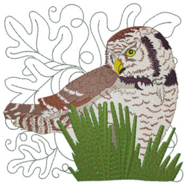 Picture of Northern Hawk Owl Machine Embroidery Design
