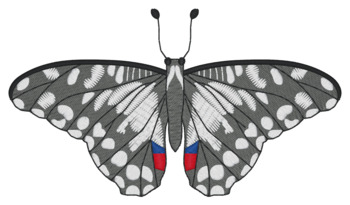 Grey Butterfly Machine Embroidery Design