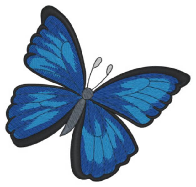 Picture of Blue Morpho Butterfly Machine Embroidery Design